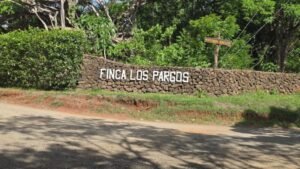 Conmoción en Guanacaste: Hallan a extranjera de 63 años sin vida y con múltiples heridas de arma blanca