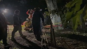 Emergencia en Alajuela: Rescatan a menor de 14 años tras caer a un guindo de 50 metros.