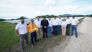 El ICE autoriza la conexión de la nueva planta solar “Los Tecales” de 20 MW a la red nacional